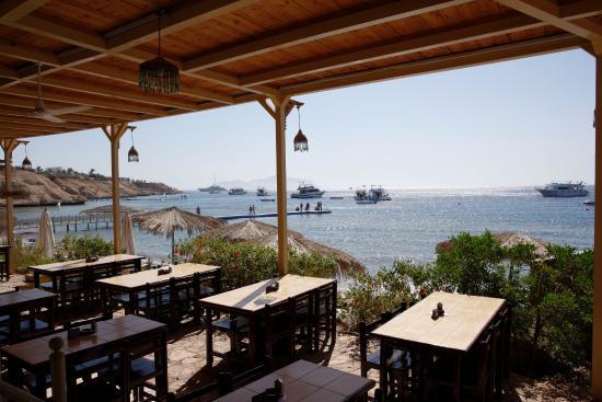 Sharks Bay Umbi Restaurant